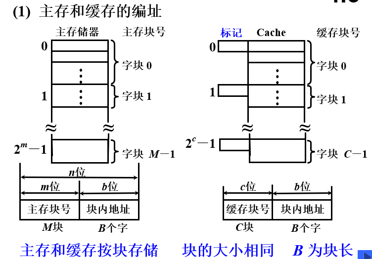 主存和缓存的编址