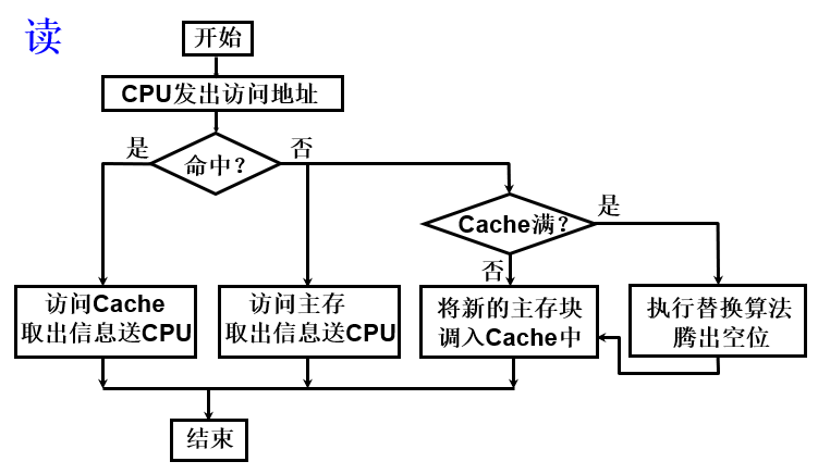 Cache的读操作