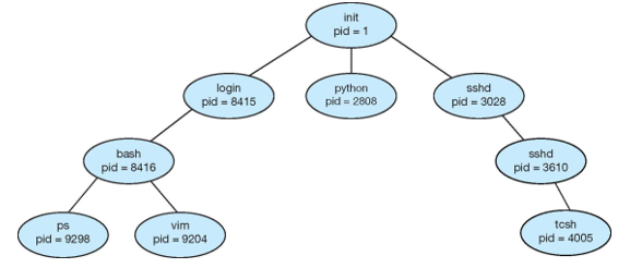 Process Tree